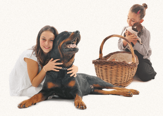 home Mädchen kuscheln mit Hunden