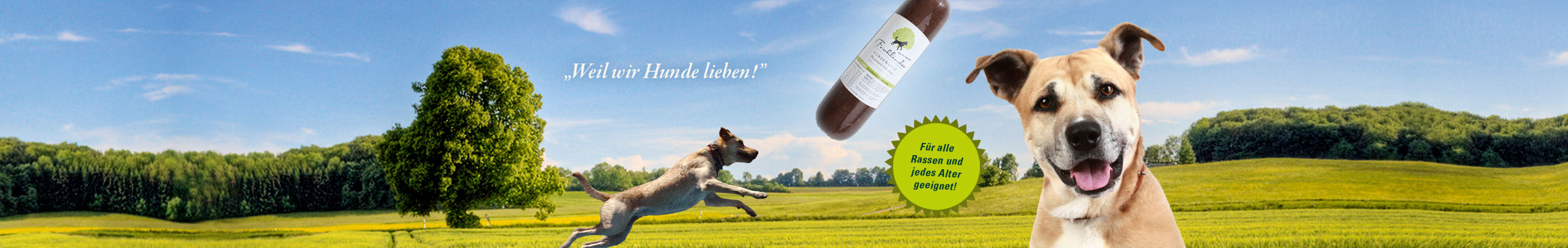 Frohlinder.de Hundenahrung