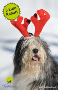 frohlinder-fb-nikolaus-rabatt-2 5 Euro Rabatt Aktion Weihnachten