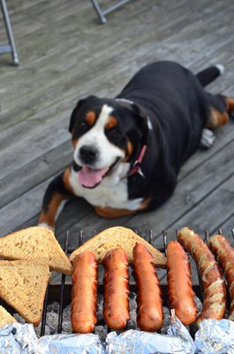 hund am grill 663673_web_r_k_b_by_anne_garti_pixelio.de Hund wartet am Grill